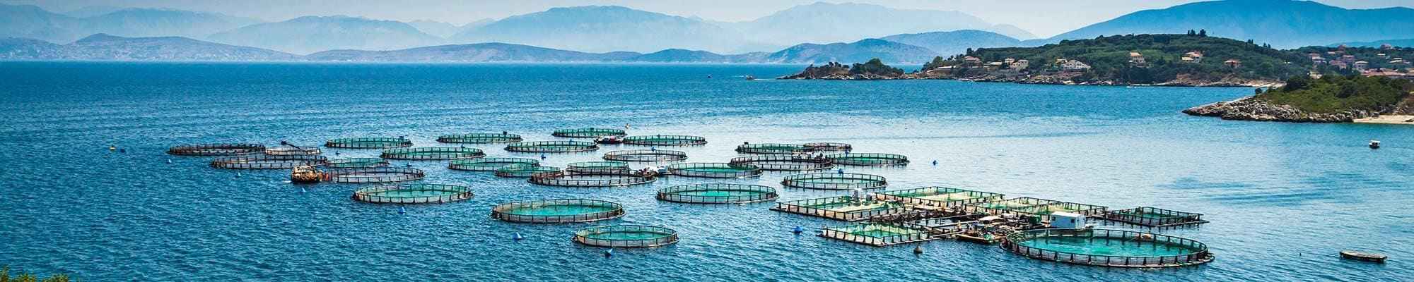 Aquakultur und Fischerei