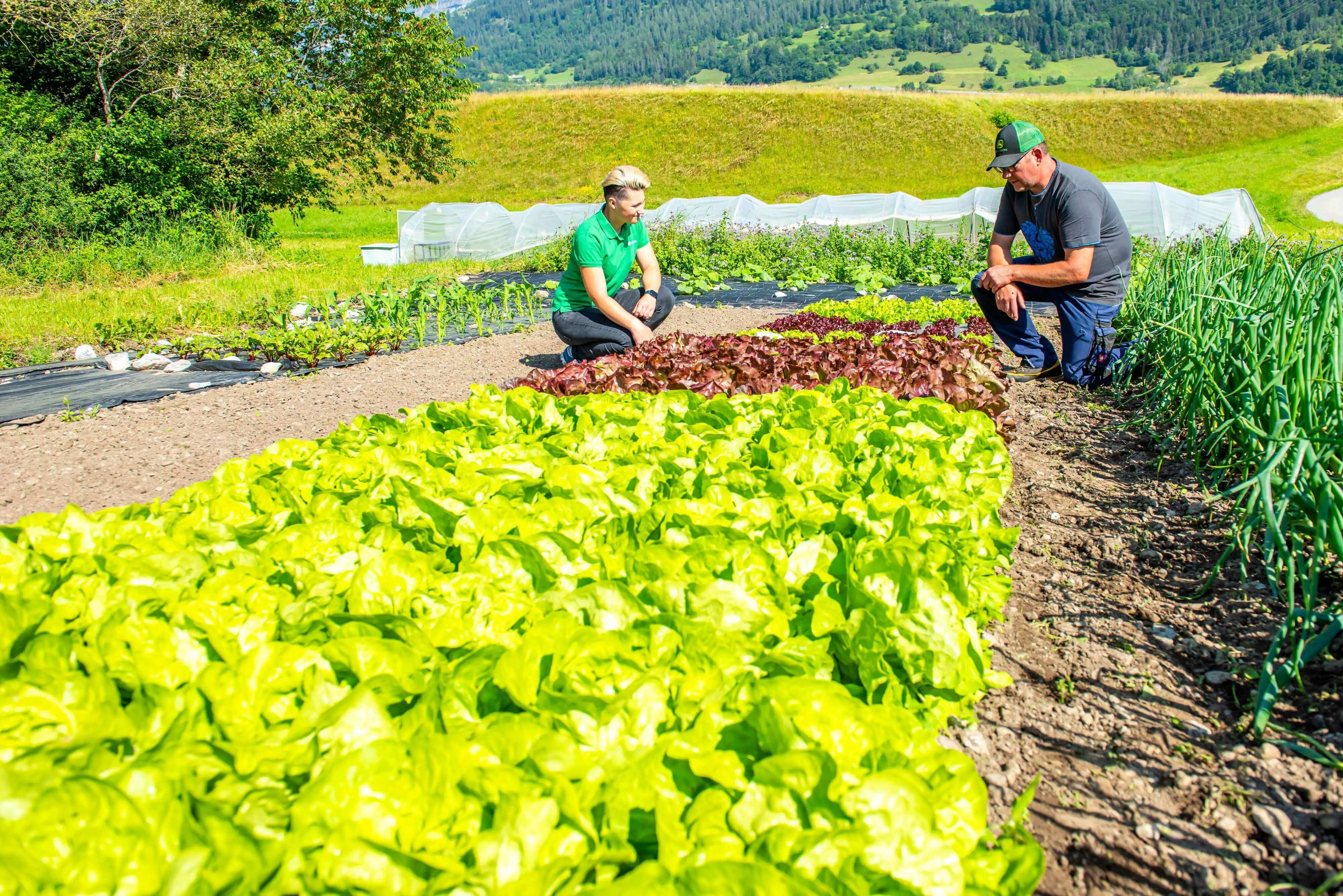 Bio-Betriebs-Check für Landwirtschafts- betriebe 