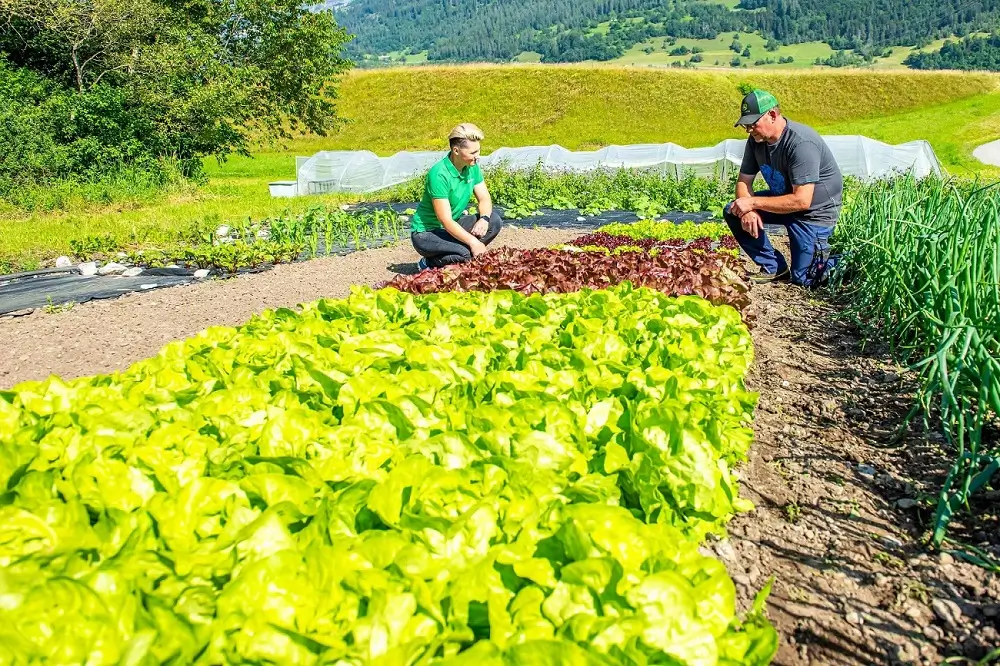 Organic farm assessment