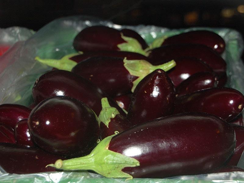 BLOG_Marché hebdomadaire_Aubergines