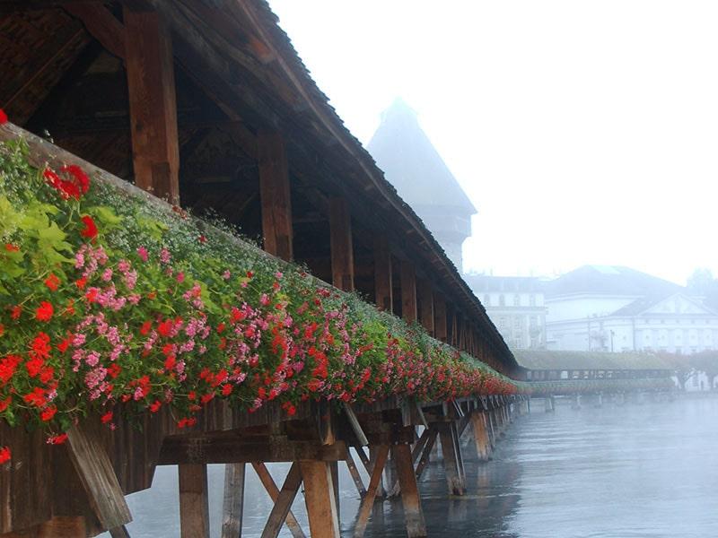 BLOG_Marché hebdomadaire_Cappelenbruecke-Lucerne