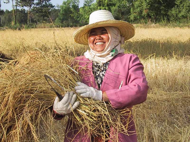 Femme aux céréales fair trade