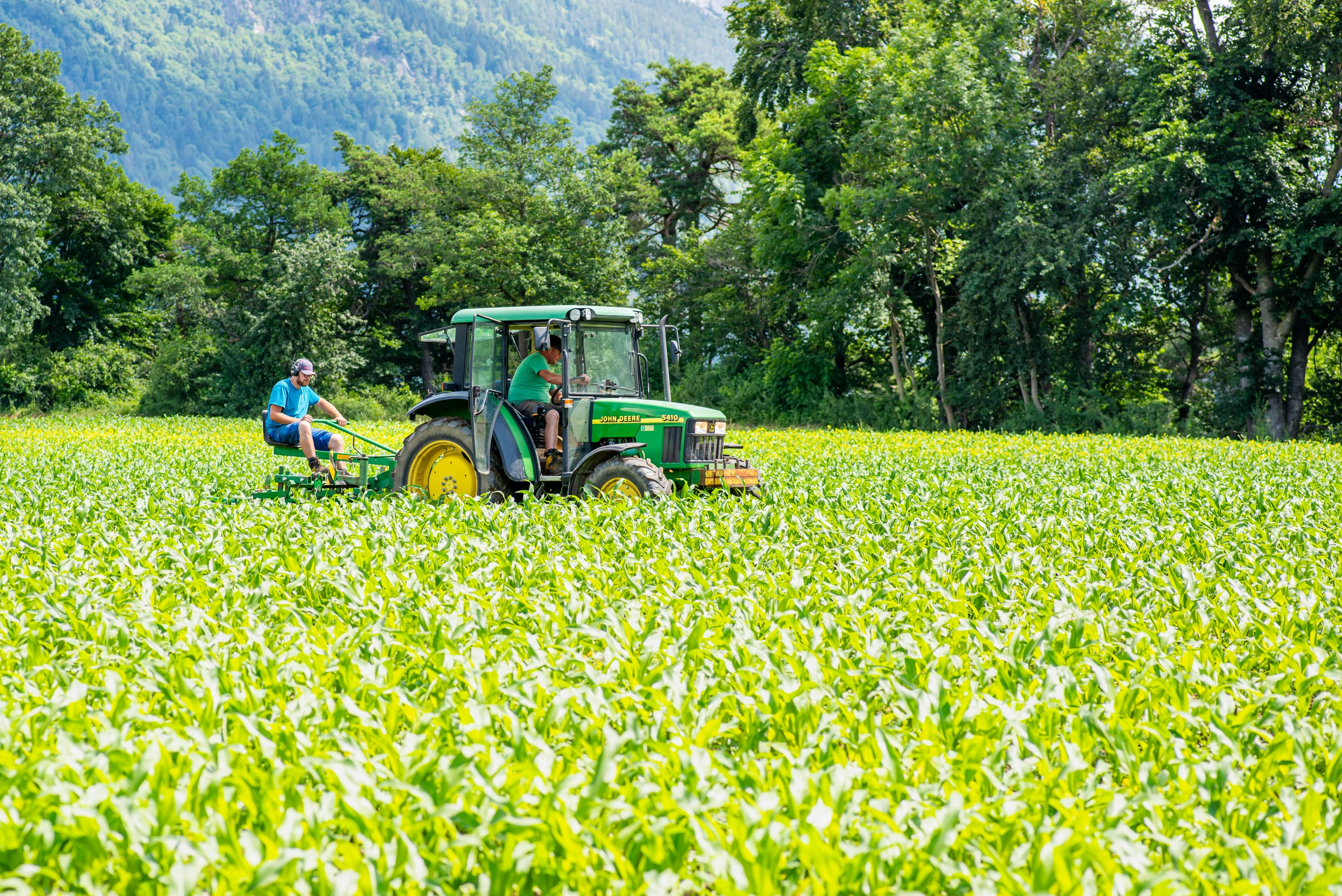 Check d’azienda bio per le aziende agricole