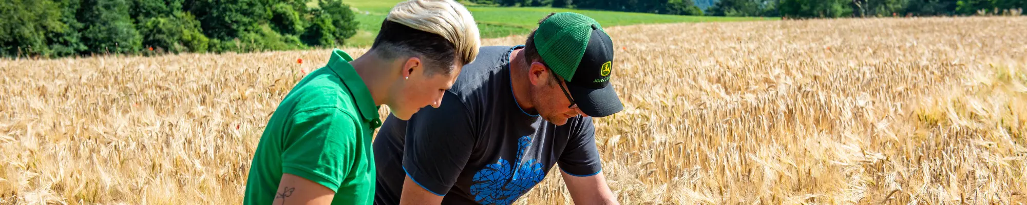 Header prezzi ispezione nel campo di grano